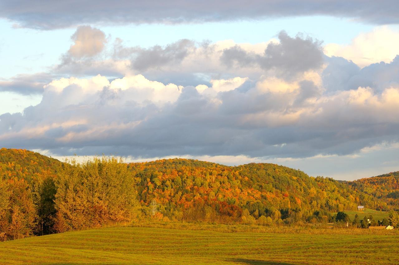 Ecologe Bed & Breakfast Cantley Екстериор снимка
